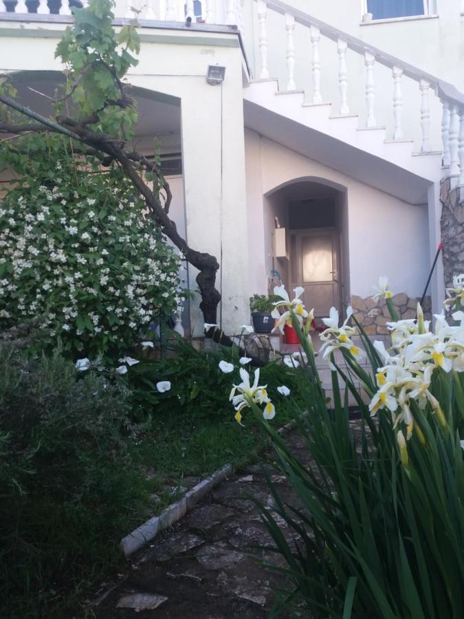 Olivera Apartments Póla Kültér fotó